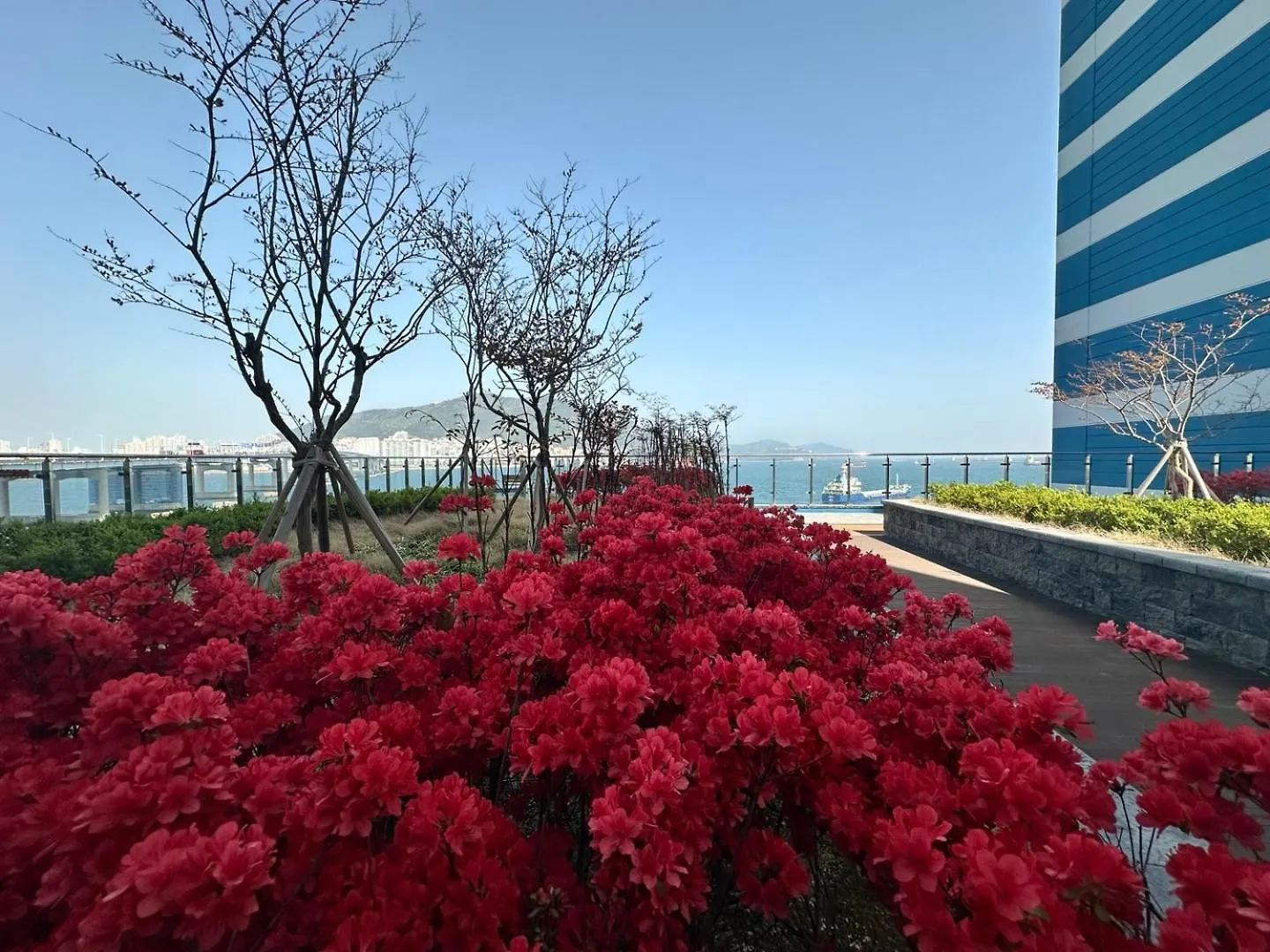 Hotel The December Stay Busan Songdo Ocean Terrace